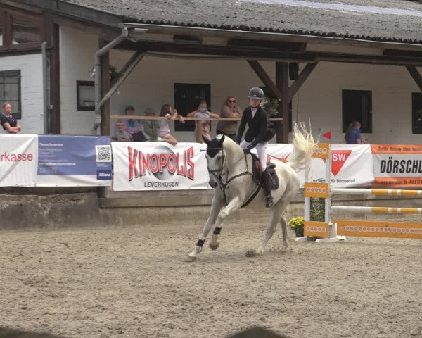 Reitturnier Solingen 2023
