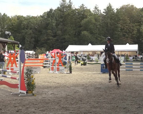 Reitturnier Solingen 2023