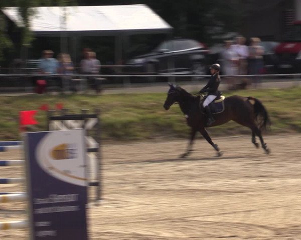 Reitturnier Lgl.-Oberhain, B95 2021