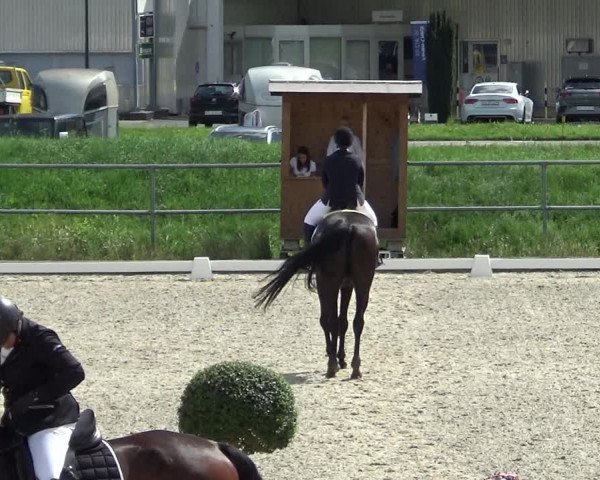 Reitturnier Werdenberg 2023