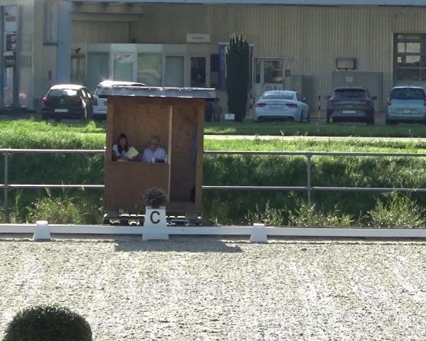 Reitturnier Werdenberg 2023