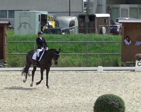 Reitturnier Werdenberg 2023