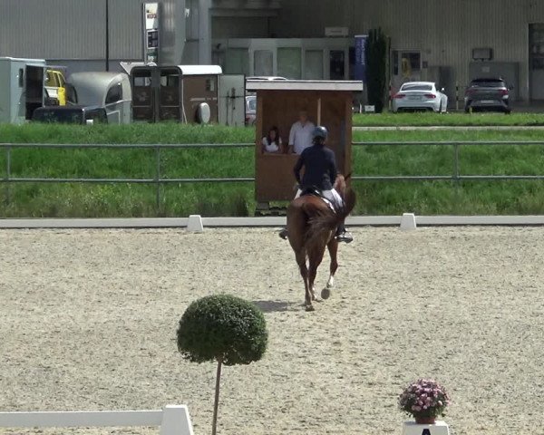 Reitturnier Werdenberg 2023