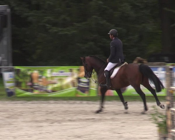 Reitturnier Pietzpuhl 2023