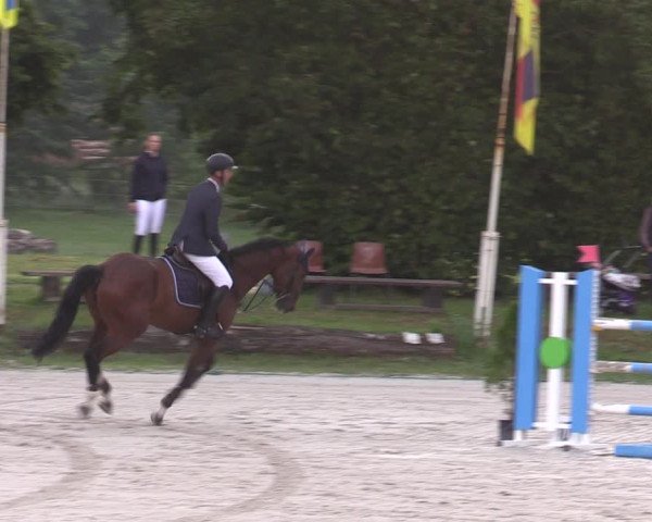 Reitturnier Pietzpuhl 2023