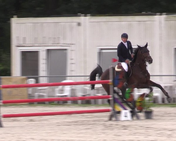 Reitturnier Pietzpuhl 2023