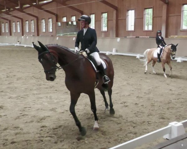 Reitturnier Zillhofen/Obb. 2023