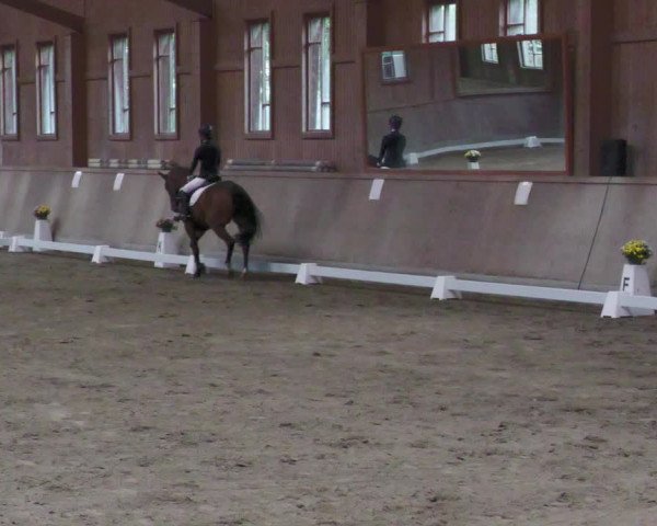 Reitturnier Zillhofen/Obb. 2023