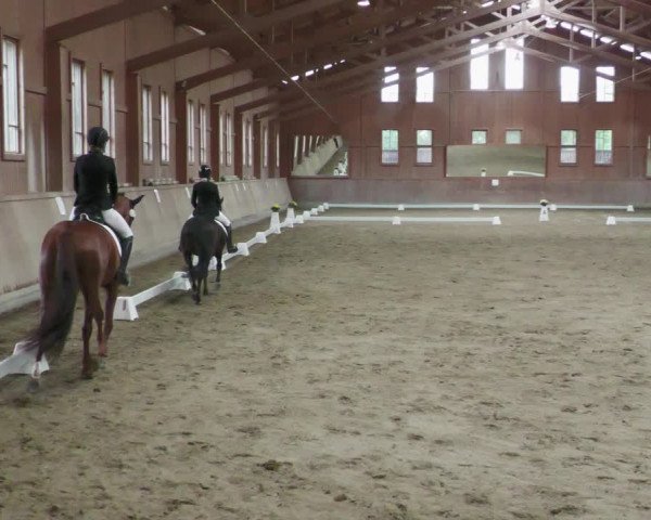 Reitturnier Zillhofen/Obb. 2023