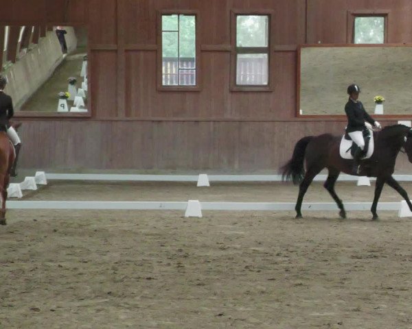 Reitturnier Zillhofen/Obb. 2023