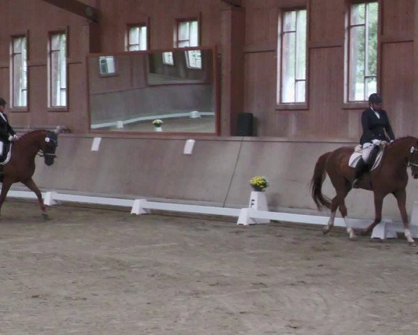 Reitturnier Zillhofen/Obb. 2023