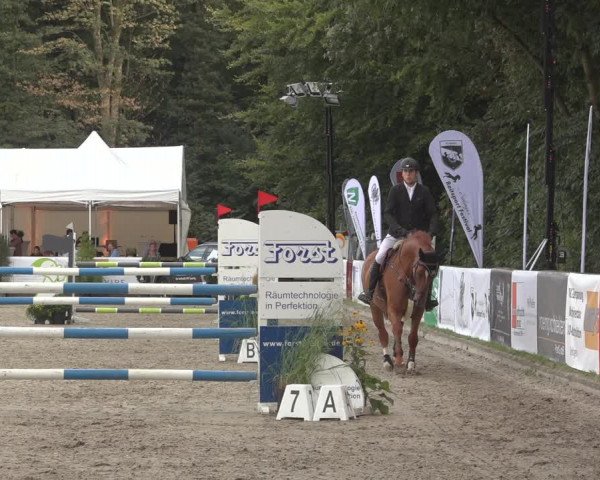 Reitturnier Solingen 2023