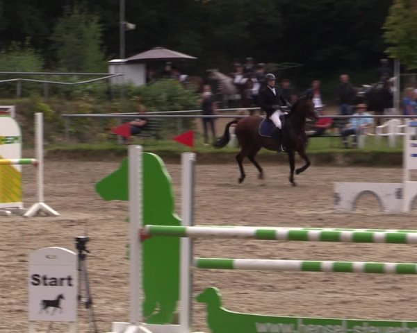 Reitturnier Lgl.-Oberhain, B95 2021