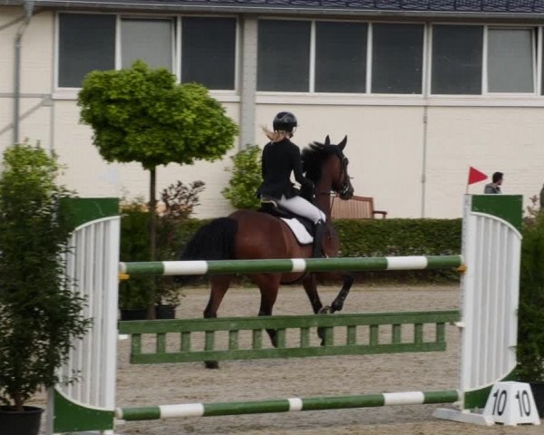 Reitturnier St.Wendel, Gestüt Welvert 2023