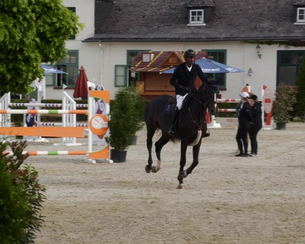 Reitturnier St.Wendel, Gestüt Welvert 2023