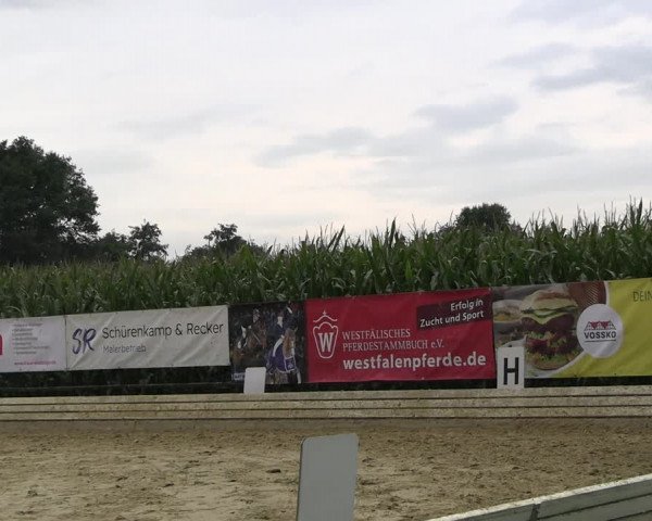 Reitturnier Ostbevern 2023