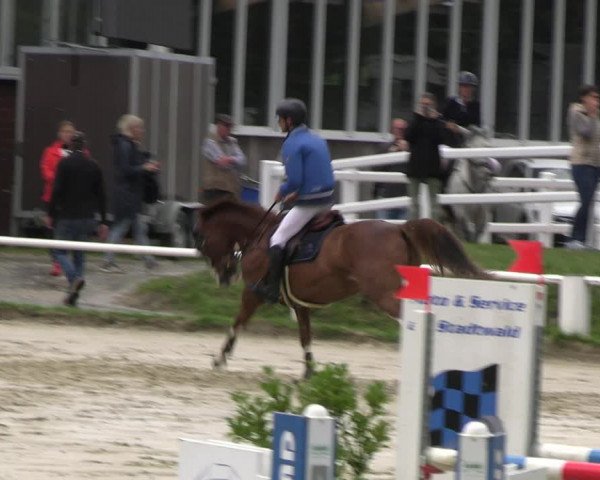 Reitturnier Werne 2023