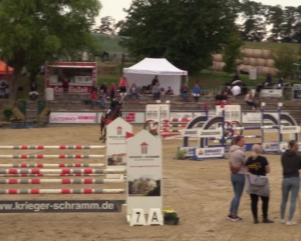 Reitturnier Duderstadt 2023