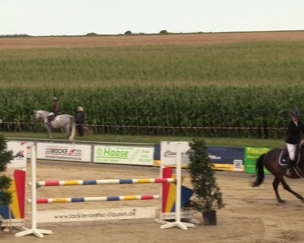 Reitturnier Duderstadt 2023