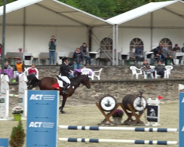 Erntedank Springturnier Nörten-Hardenberg 2021