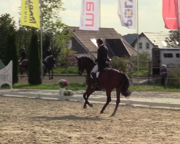 Reitturnier Meinerzhagen 2021