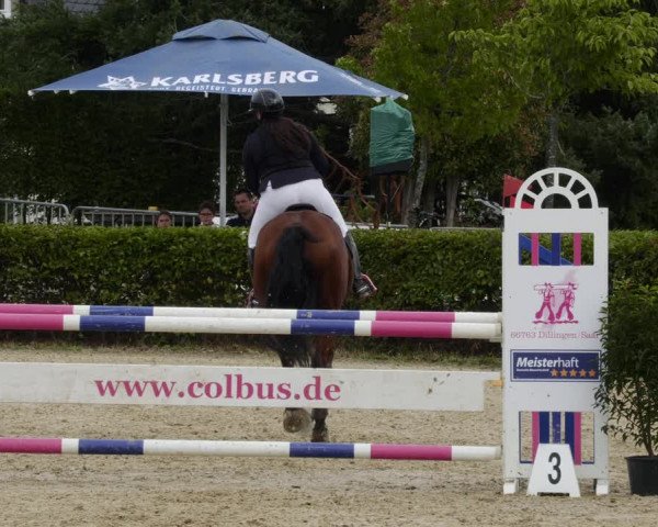 Reitturnier St.Wendel, Gestüt Welvert 2023