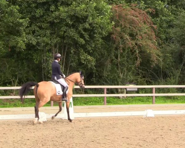 Reitturnier Kleinsolt 2023