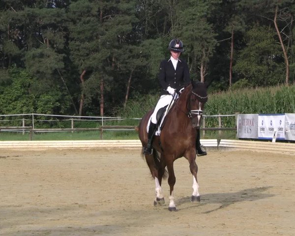 Reitturnier Ostbevern 2023