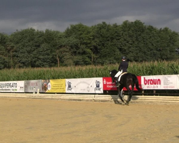 Reitturnier Ostbevern 2023