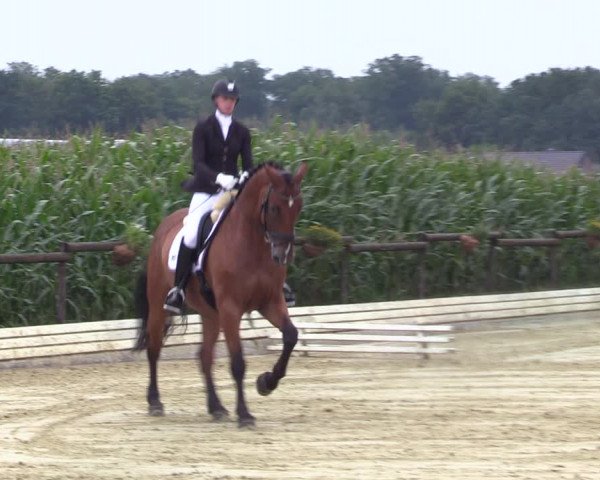 Reitturnier Ostbevern 2023