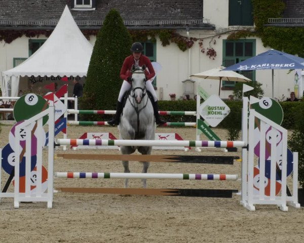 Reitturnier St.Wendel, Gestüt Welvert 2023