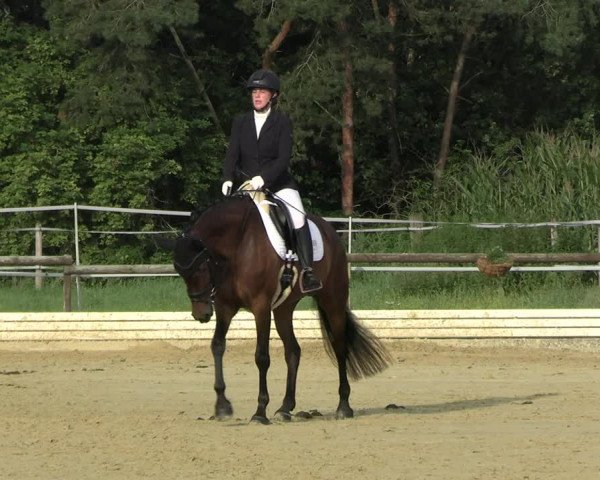 Reitturnier Ostbevern 2023