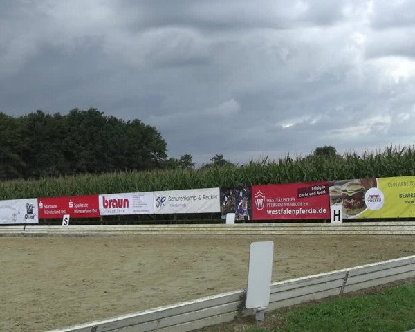 Reitturnier Ostbevern 2023