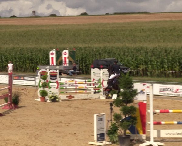 Reitturnier Duderstadt 2023