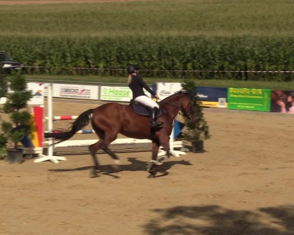Reitturnier Duderstadt 2023