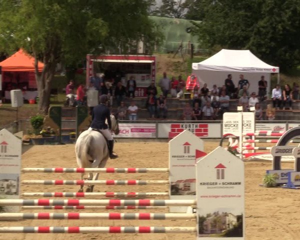 Reitturnier Duderstadt 2023