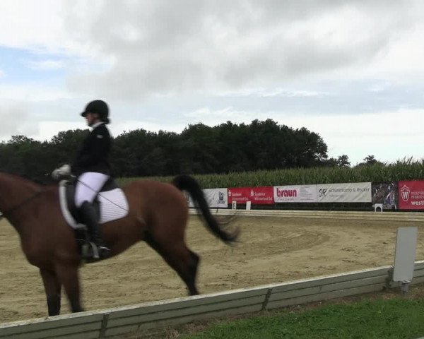 Reitturnier Ostbevern 2023