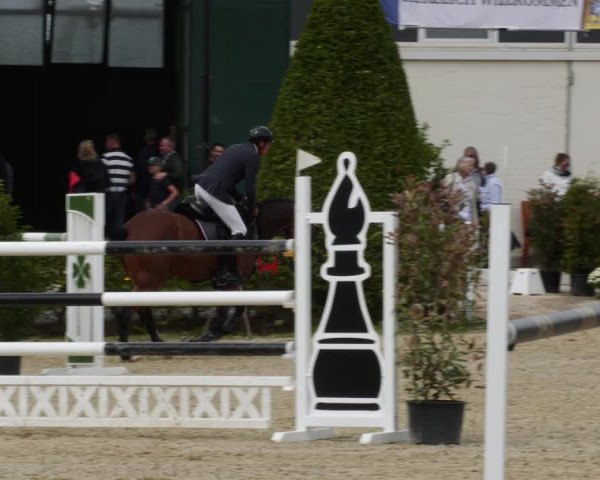 Reitturnier St.Wendel, Gestüt Welvert 2023