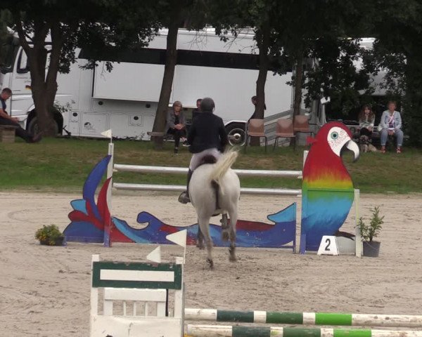 Reitturnier Pietzpuhl 2023