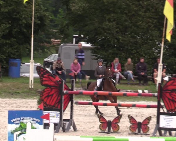 Reitturnier Pietzpuhl 2023