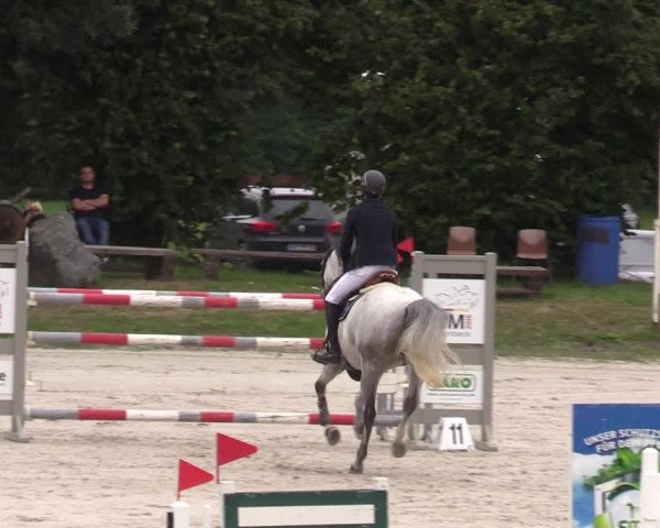 Reitturnier Pietzpuhl 2023