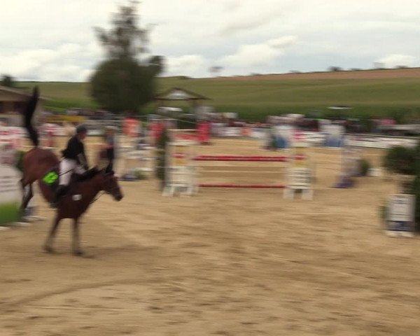 Reitturnier Duderstadt 2023