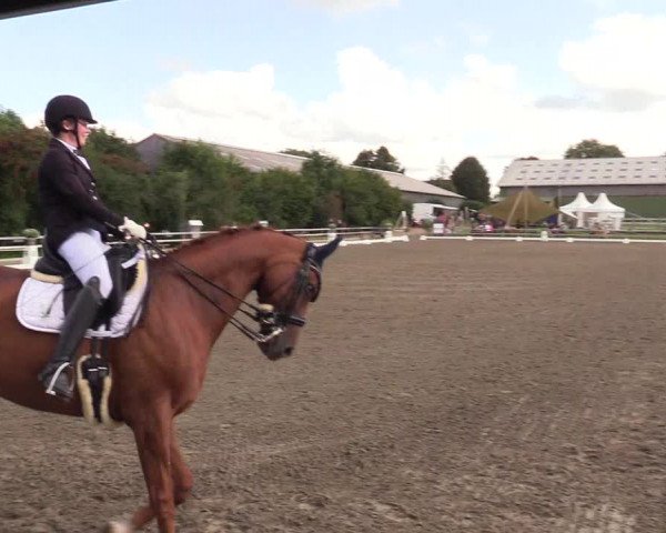 Reitturnier Kleinsolt 2023
