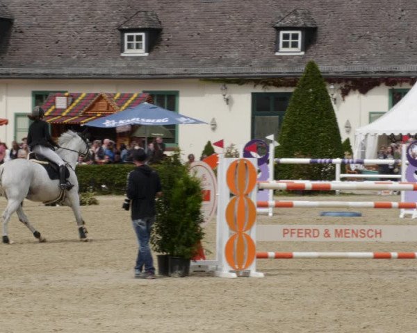 Reitturnier St.Wendel, Gestüt Welvert 2023