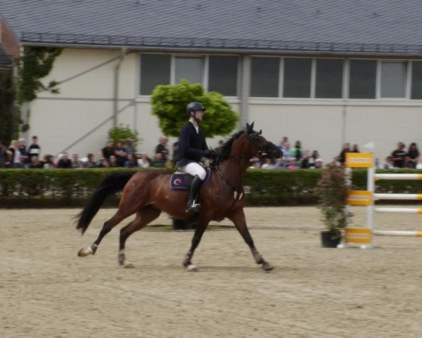 Reitturnier St.Wendel, Gestüt Welvert 2023