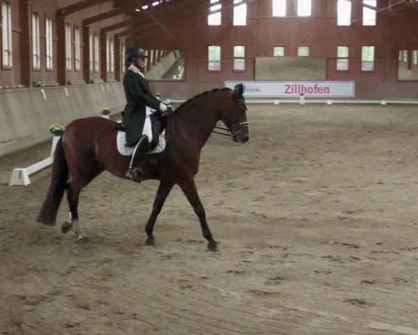 Reitturnier Zillhofen/Obb. 2023