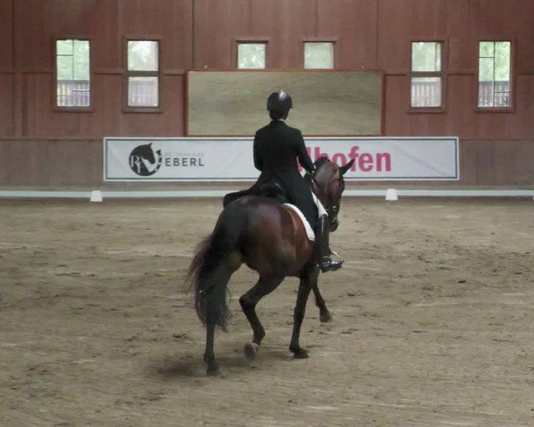 Reitturnier Zillhofen/Obb. 2023