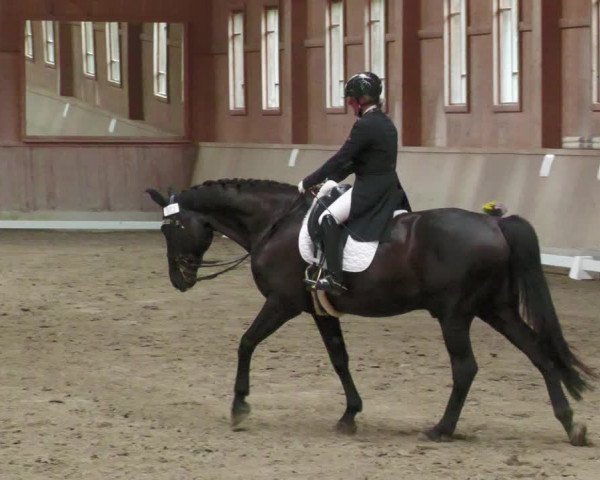 Reitturnier Zillhofen/Obb. 2023