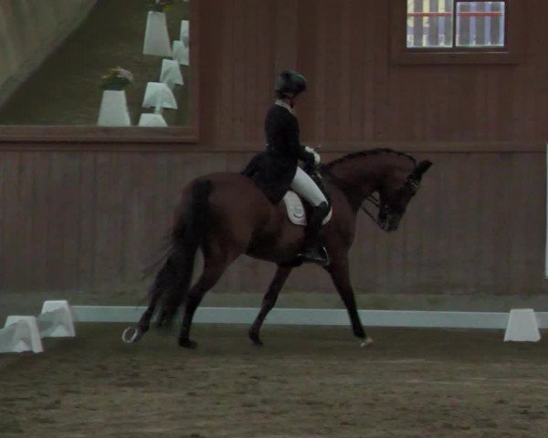 Reitturnier Zillhofen/Obb. 2023