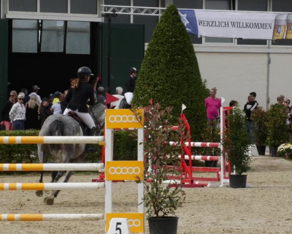 Reitturnier St.Wendel, Gestüt Welvert 2023